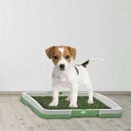 Banheiro De Cocô De Malha Para Animais De Estimação, bandejas De Banheiro Para Cães, tapetes De Cachorro, caixa De Treinamento De Urinação, Pet Shop - Image 1