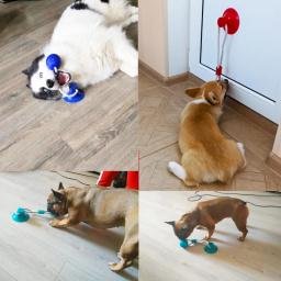 Brinquedos para cães de estimação filhote de cachorro interativo ventosa empurrar tpr bola brinquedos molar mordida brinquedo cordas elásticas limpeza do dente do cão suprimentos de mastigação - Image 4