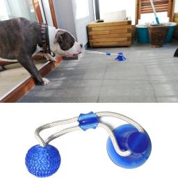 Brinquedos para cães de estimação filhote de cachorro interativo ventosa empurrar tpr bola brinquedos molar mordida brinquedo cordas elásticas limpeza do dente do cão suprimentos de mastigação - Image 1