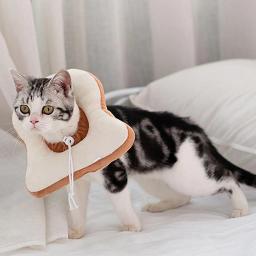 Coleira eletrônica de cone para animais de estimação, protetor de recuperação e antimordida para animais de estimação - Image 3