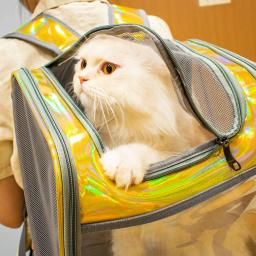Pet cat carrier mochila viagem respirável ao ar livre bolsa de ombro para cães pequenos portátil transparente transportando suprimentos para animais estimação a laser - Image 4