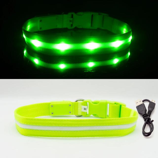 Coleira LED à Prova d'Água IPX7 com Carregamento USB para Cães Filhotes - Acessório Antiperda para Natal e Passeios Seguros