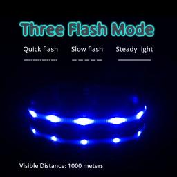 Ipx7 à prova dwaterproof água led coleira de cachorro natal usb carregamento colar para cães filhotes anti-perdido chumbo produtos para animais de estimação acessórios para cães - Image 3