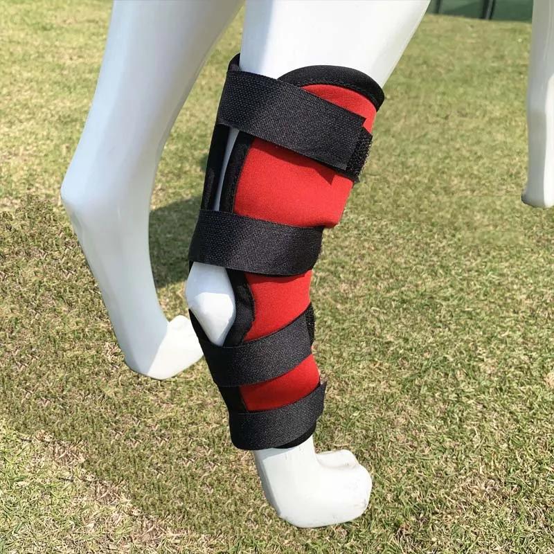 Cão de estimação bandagens cão injurie perna joelho cinta proteção para cães comum bandagem envoltório doggy suprimentos médicos cães acessórios - Image 1