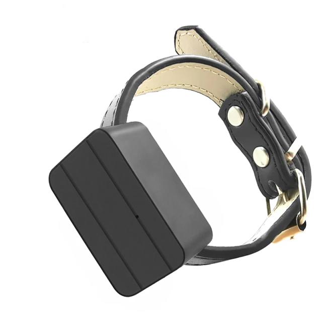 Localizador GPS para Pets: Rastreador Mini para Cães e Gatos com Monitor de Voz, Cerca Elétrica, Alerta por SMS e Aplicativo Gratuito.