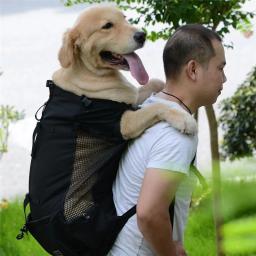 Mochila de viagem respirável e lavável para pet, 1pc, mochila de viagem ao ar livre, ventilação, ao ar livre, caminhadas - Image 3