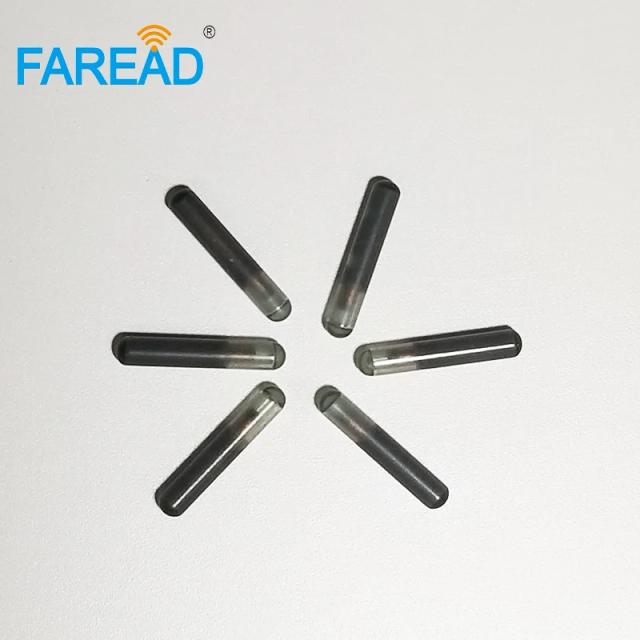 Tag de Vidro Biométrico para Pets e Arowanas - Microchip FDX-B EM4305, 2.12x12mm, Pacote com 60 Unidades