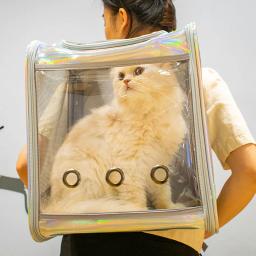 Pet cat carrier mochila viagem respirável ao ar livre bolsa de ombro para cães pequenos portátil transparente transportando suprimentos para animais estimação a laser - Image 6