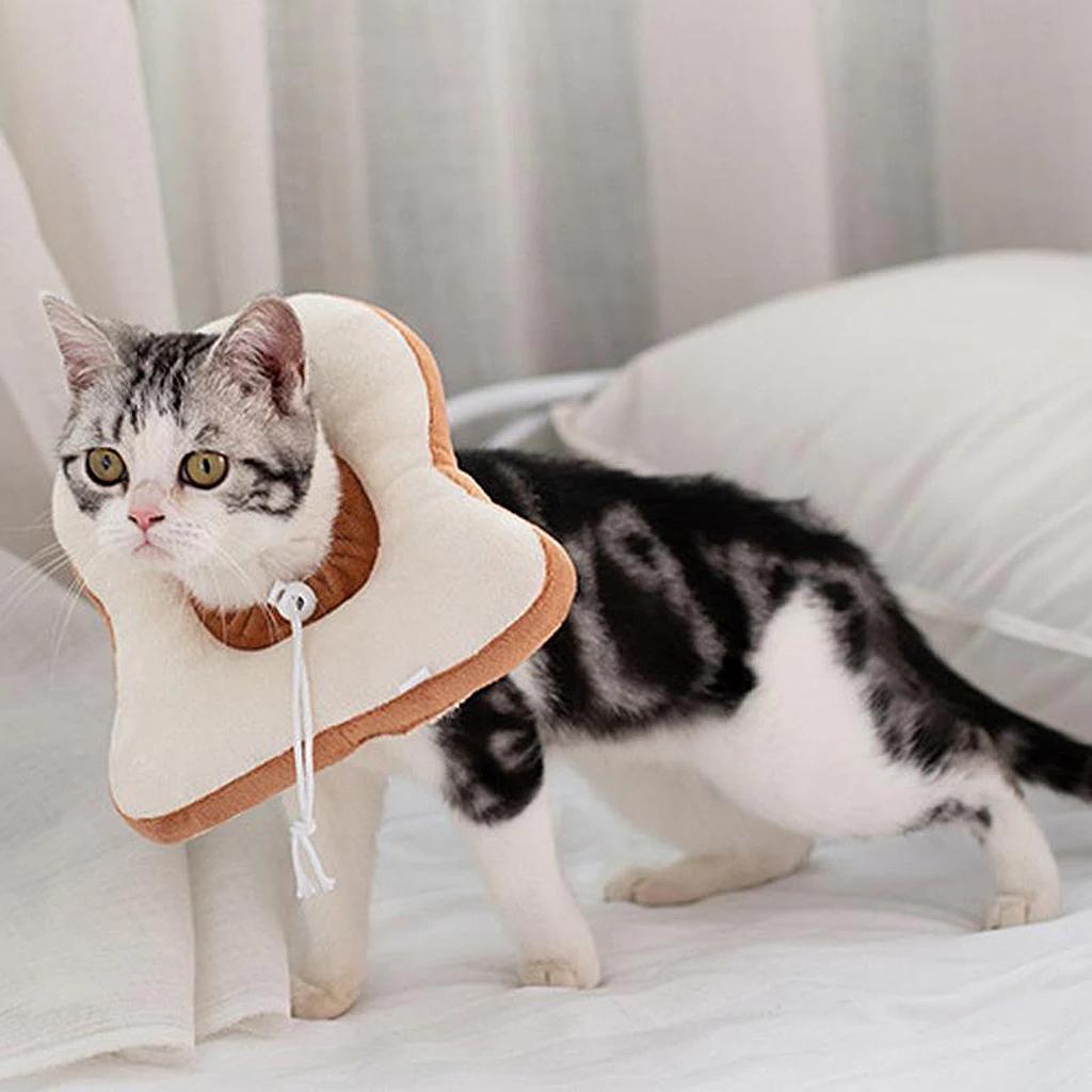 Coleira eletrônica de cone para animais de estimação, protetor de recuperação e antimordida para animais de estimação - Image 1
