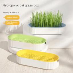 Hidropônico Soilless Plantando Pot Set para Fácil Crescimento, Grass Box, Cat Treats, Catnip - Image 3