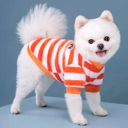 Roupas para cães roupas para cães animais de estimação roupas para cães roupas para cães roupas para animais de estimação roupas para cães - Image 4