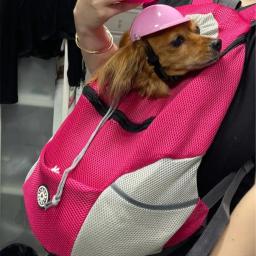 Pet Carrier Bag para cães, Mochila de viagem portátil, Saco ao ar livre respirável, Pet carregando suprimentos - Image 4