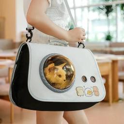 Cápsula Espacial Pet Portátil e Dobrável, Mochila de Transporte Gato, Mala de Transporte, Suprimentos Transportadores Transparentes, Mala para Gatos - Image 1