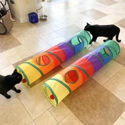 Túnel para gatos Brinquedos dobráveis para gatos de estimação Treinamento de gatinhos Túnel de brinquedo divertido interativo Bored For Puppy Kitten Rabbit Play Tunnel Tube - Image 4