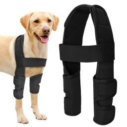 Ajustável Pet Dog Bandagens, Lesões, Perna, Joelho, Brace Strap, Recuperação Manga, Suprimentos Médicos, Cães Acessórios - Image 2