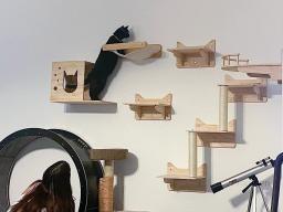 Prateleira de parede para gatos, arranhador de sisal, escada de gato, torre de árvore, plataforma, pet pulando móveis - Image 6