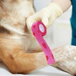 Bandagem Elástica Respirável Médica para Pet, Não Tecido, Auto-adesivo, Ao ar livre, Retrátil, Fita Esportiva, Acessórios para Cães - Image 3