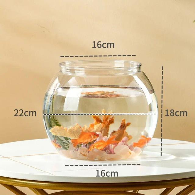 Vidro de Alta Transparência Ideal para Aquários Pequenos com Peixes Ornamentais e Répteis