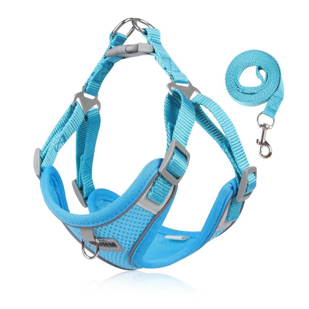 Arnês de Peito Ajustável para Pequenos Animais de Estimação, Trela Do Cão, Colete Bonito, Camisola Dos Gatinhos, Tipo Respirável, Pet Shop - Image 1