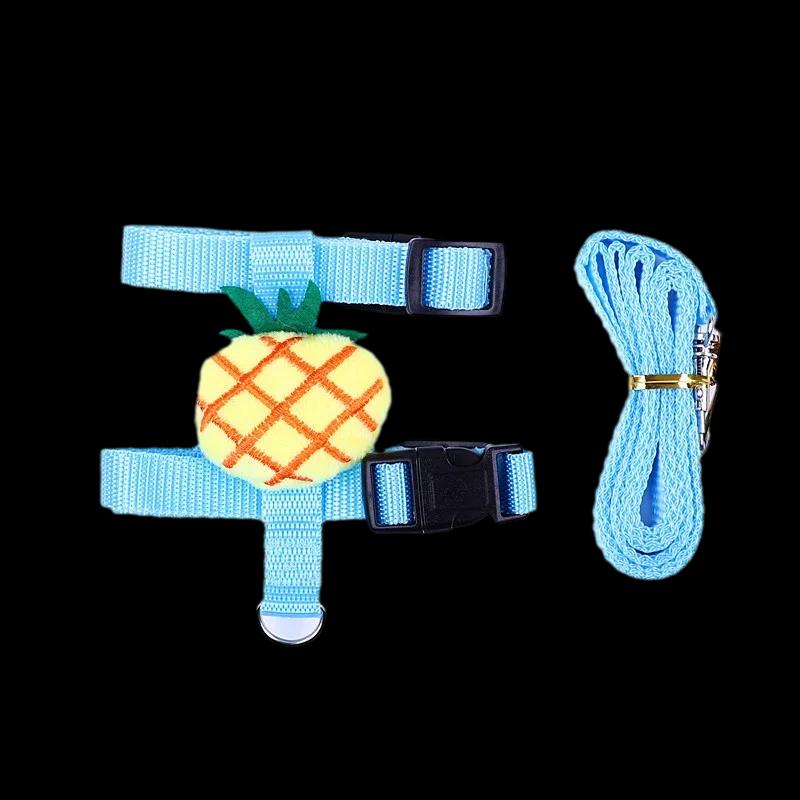 Conjunto de arnês e trela para pequenos animais, coelho ambulante, cobaia, animal de estimação bonito, chinchila, porcos, acessórios - Image 1