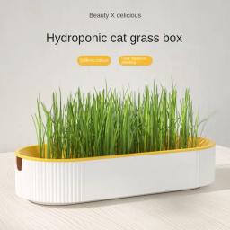 Hidropônico Soilless Plantando Pot Set para Fácil Crescimento, Grass Box, Cat Treats, Catnip - Image 2