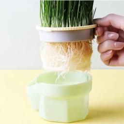 Copo De Cultivo De Grama De Gato Com Cultivo Soiless Recipiente De Crescimento De Catnip Reutilizável Bandeja De Germinação De Sementes, Hi-Fi Design - Image 2
