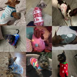 Soft Flanela Puppy Puffer Jacket, Roupas fofas para cães, Colete de inverno para cães pequenos e gatos, Camisola quente para animais, Acessórios para cães - Image 5
