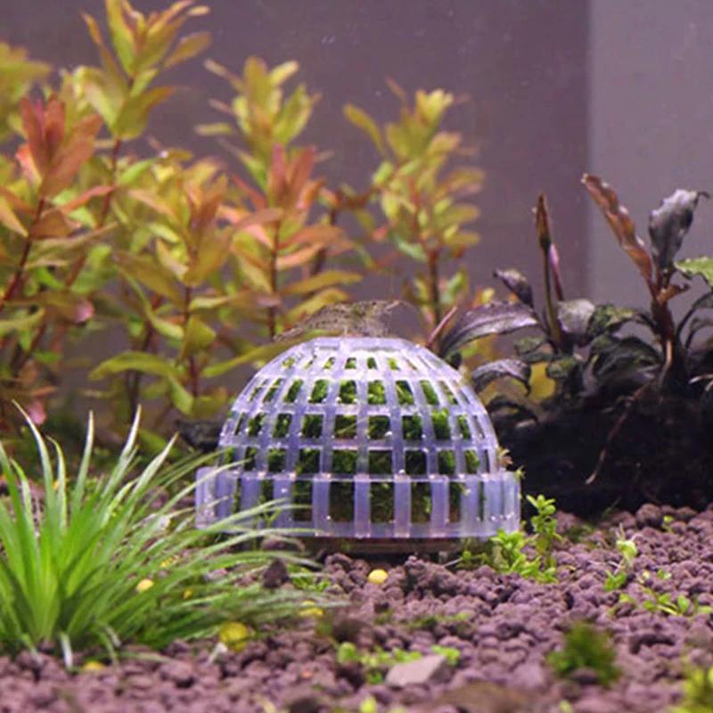 Aquário plástico musgo bola filtro aquático suprimentos para animais de estimação decorações para camarões tanque de peixes produtos para animais de estimação decoração do tanque de peixes - Image 1