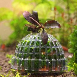 Aquário plástico musgo bola filtro aquático suprimentos para animais de estimação decorações para camarões tanque de peixes produtos para animais de estimação decoração do tanque de peixes - Image 3