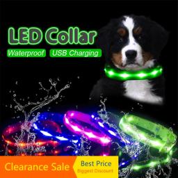 Ipx7 à prova dwaterproof água led coleira de cachorro natal usb carregamento colar para cães filhotes anti-perdido chumbo produtos para animais de estimação acessórios para cães - Image 1