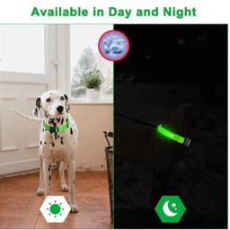 Coleira Luminosa USB Recarregável para Animais de Estimação, LED ajustável, Coleira de cão brilhante, Grande, Pequeno, Cat Night Light - Image 5