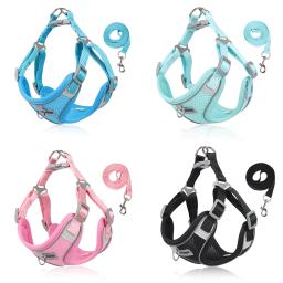 Arnês de Peito Ajustável para Pequenos Animais de Estimação, Trela Do Cão, Colete Bonito, Camisola Dos Gatinhos, Tipo Respirável, Pet Shop - Image 5