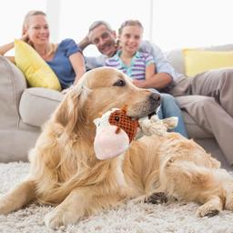 Brinquedo de dentição resistente à mordida para animais de estimação Brinquedos interativos para cães Chewers agressivos Cachorro de pelúcia Brinquedo de mastigação molar - Image 4