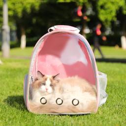Único e Duplo Ombro Mochila Pet, respirável, ao ar livre, portátil, Suprimentos de segurança do carro, Handheld, Crossbody, gato e cão, 1pc - Image 2
