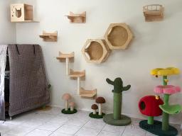 Prateleira de parede para gatos, arranhador de sisal, escada de gato, torre de árvore, plataforma, pet pulando móveis - Image 1
