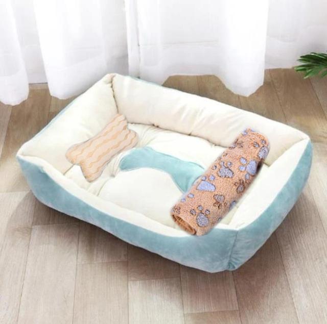 Camas Aconchegantes e Coloridas para Cães e Gatos de Todos os Tamanhos