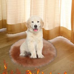Gato do cão de estimação almofada aquecimento elétrico interface usb termostática corpo inverno mais quente esteira cama cobertor animais acessórios aquecedor - Image 2