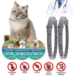 1Pc Pet Flea E Tick Collar Para Cães Gatos Prevenção Ajustável Pet Collar Pest Anti-mosquito Repelente de Insetos Puppy Supplies - Image 1