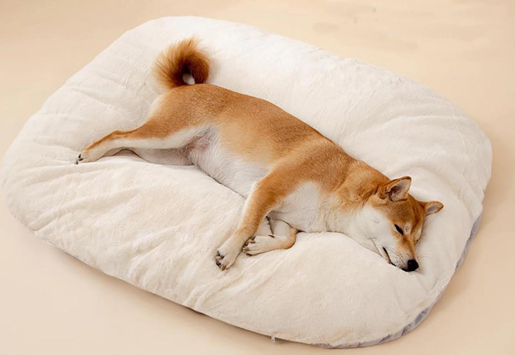 Almofada de Forma Oval para Cães Grandes, Cama Confortável para Cães, Camas Laváveis para Caixas, Frete Grátis - Image 1