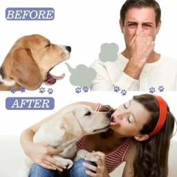 50ml pet oral limpar spray cães gatos boca dentes frescos desodorante limpo evitar cálculo remover gatinho mau hálito suprimentos para animais de estimação - Image 4