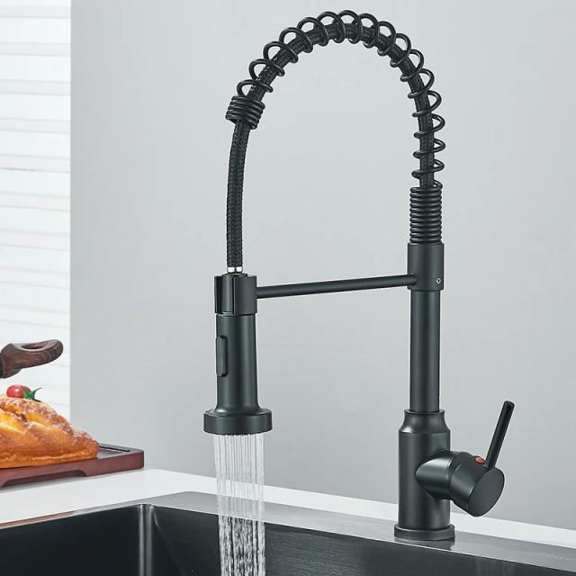 Misturador de Cozinha Primavera Preta com Torneira Rotativa em Aço Inoxidável e Spray para Água Quente e Fria