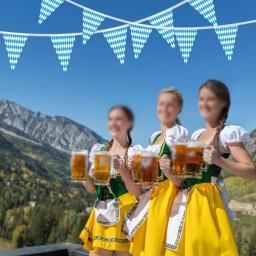 Oktoberfest Bunting Banner Decoração, Bandeira de Verificação Bávara, Banner de Boas Vindas para Festa Temática Alemã, Decoração Guirlanda, 10m - Image 6