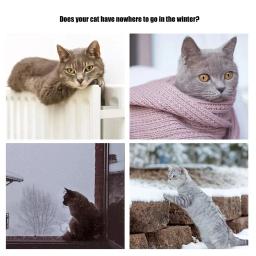 Removível Hammock Suspenso Para Animais De Estimação, Cama De Radiador De Luxo, Ninho Com Cesta Durável Forte, Acessórios Para Animais De Estimação - Image 6