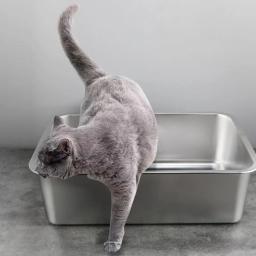 Aço inoxidável Cat Litter Box, durável caixa profunda, espaçoso, Low Entry Design, fácil acesso, Pet Acessórios - Image 3