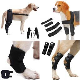Ajustável Pet Dog Bandagens, Lesões, Perna, Joelho, Brace Strap, Recuperação Manga, Suprimentos Médicos, Cães Acessórios - Image 1