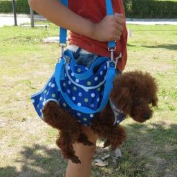 Mochila Transportadora Respirável para Cães e Gatos, Saco De Mão De Ombro, Saco De Viagem, Corda De Tração, Pet Carregando Suprimentos, Perna Para Fora - Image 4