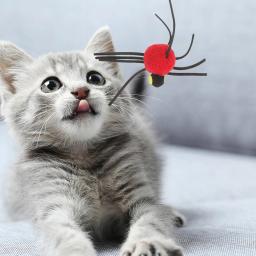 Porta suspensa interativa para gato, brinquedo de cordão elástico, gatinho saltando, brinquedo aranha de pelúcia, pet pet pet pet de brinquedo vermelho - Image 5
