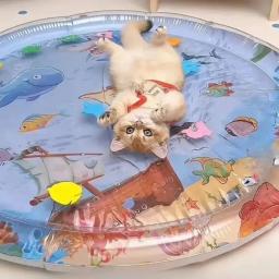 Resfriamento verão Pet Bed, Tapete de água sensorial para gatos, Cama inflável engrossada, Acessórios para animais de estimação - Image 4