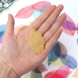 50 peças esqueleto natural deixa materiais enchimento caixa presente casamento requintados - Image 6