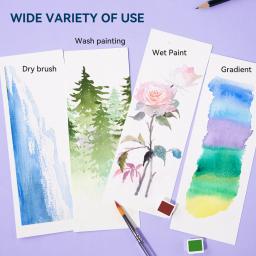 Conjunto de Aquarela MeiLiang, Suprimentos de Arte, Cores Vívidas 52, Pigmento, Estudante, Criança, Iniciantes e Artista - Image 5